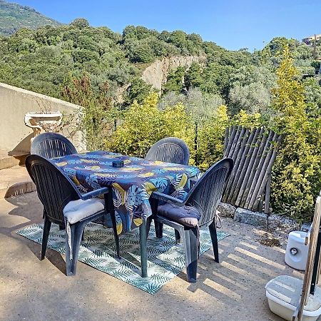 Grand Appartement Spacieux A 5 Min Du Centre Ville Аячо Екстериор снимка